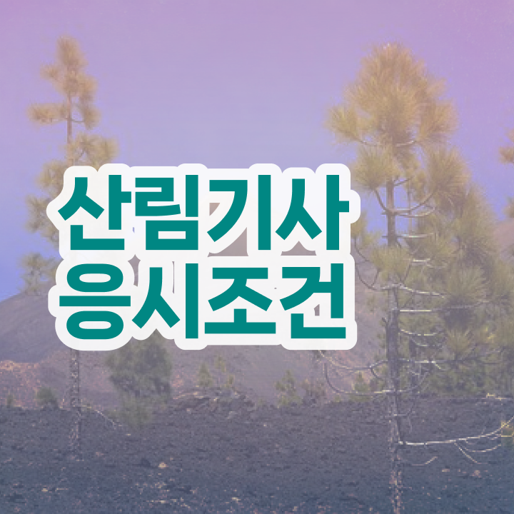  산림기사 필기 시간 산림기사 응시조건 온라인으로 편하게 완료한 과정