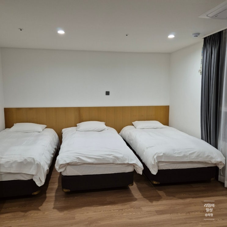  제주 서귀포 가성비 좋은 숙소 :: 케니스테이 제주 모슬포