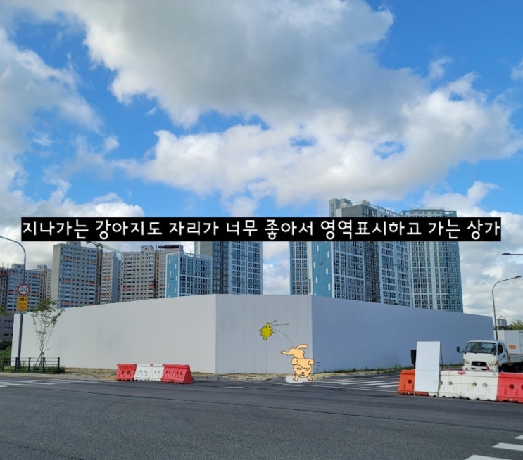  [파주 운정신도시 별하람마을 최초 준공상가 으뜸프라자] 그냥 완전 독점 상가