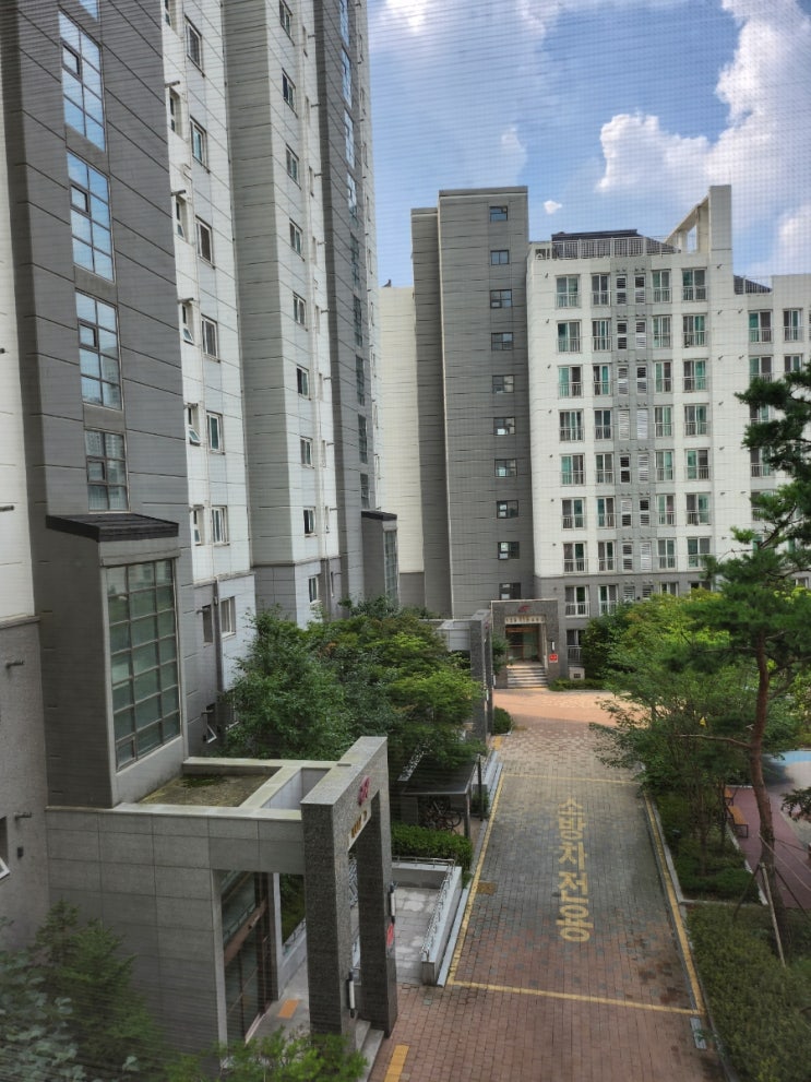  아파트 포장이사 비용 견적 후기 비교사이트 소개 성수기 가격