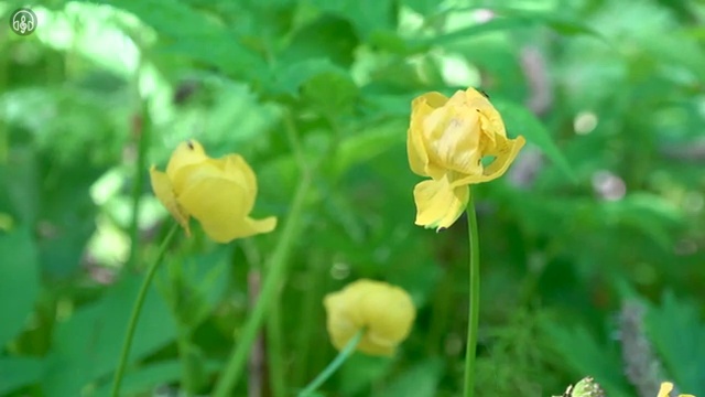  인터넷 설치 , 혜택 조건 무료로 제일 좋은 상품으로 추천해드려요
