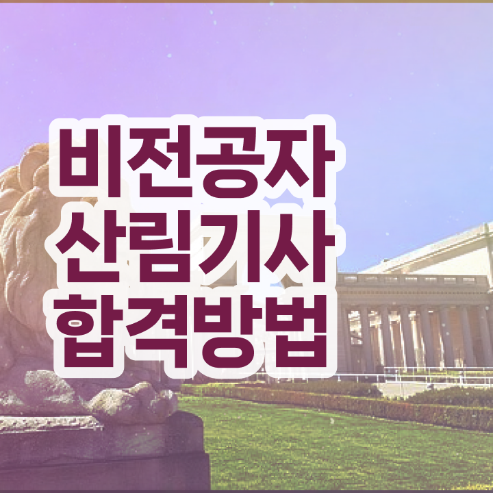  산림 기사필기 산림기사 응시자격 인강만 듣고 1학기 만에 성공한 후기