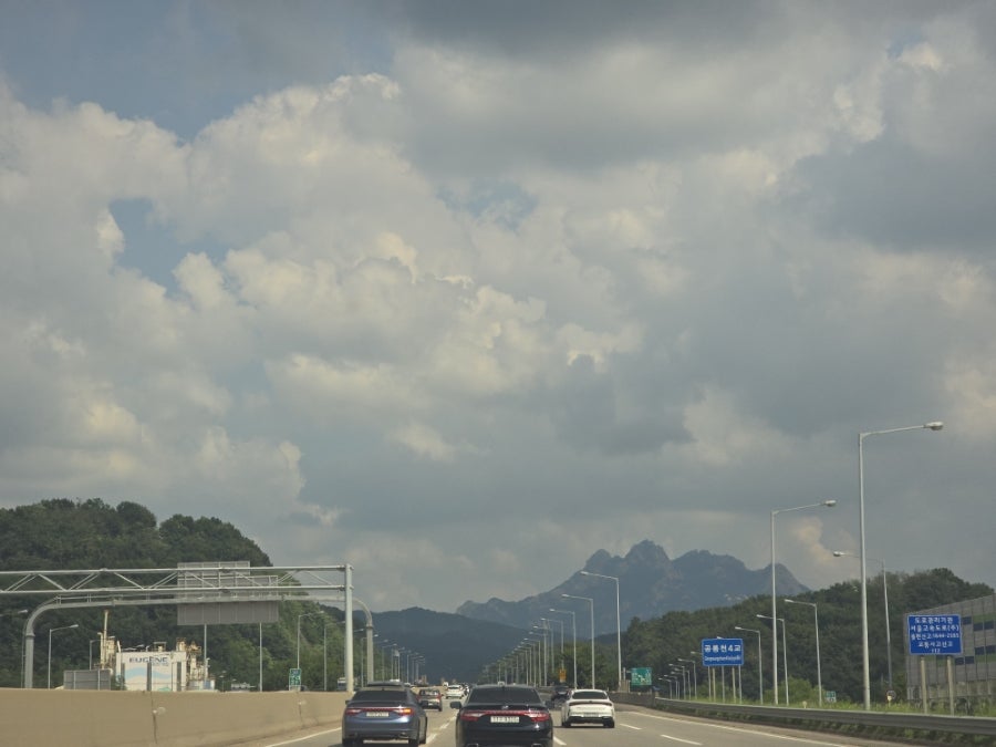 강포복집 본점 사진 2