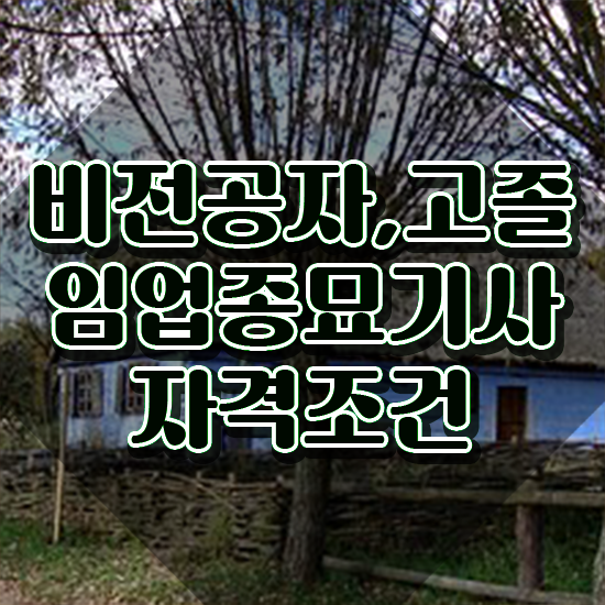  임업종묘기사 자격요건 온라인으로 빠르게 끝낸 팁