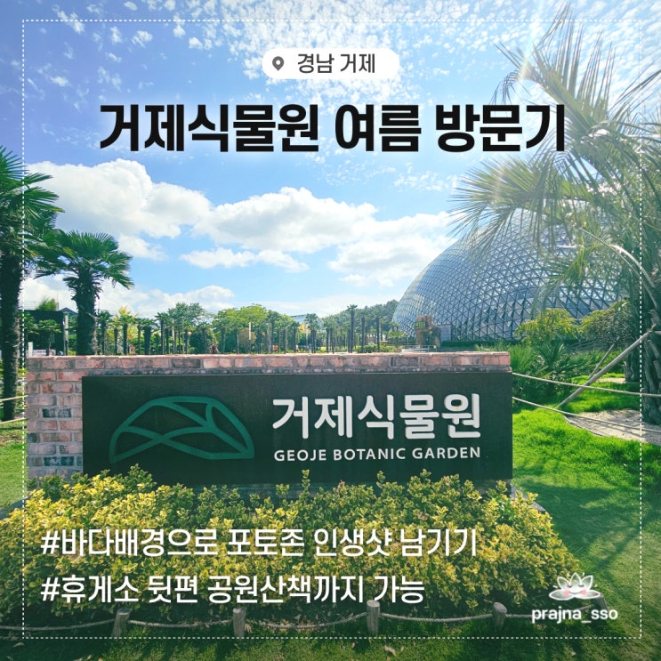  거제식물원 여름 가족여행 포토존 준비물 꿀팁소개