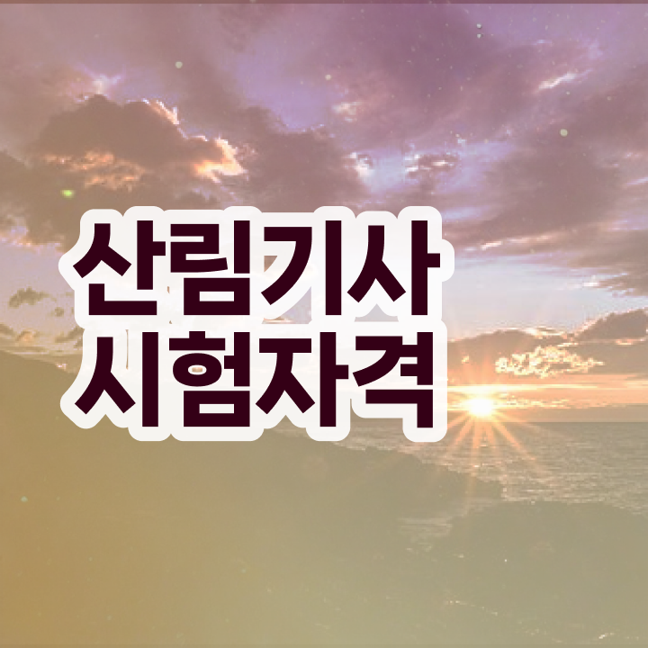  산림 기사전망 산림기사 응시조건 집에서 온라인으로 5달만에 성공한 노하우