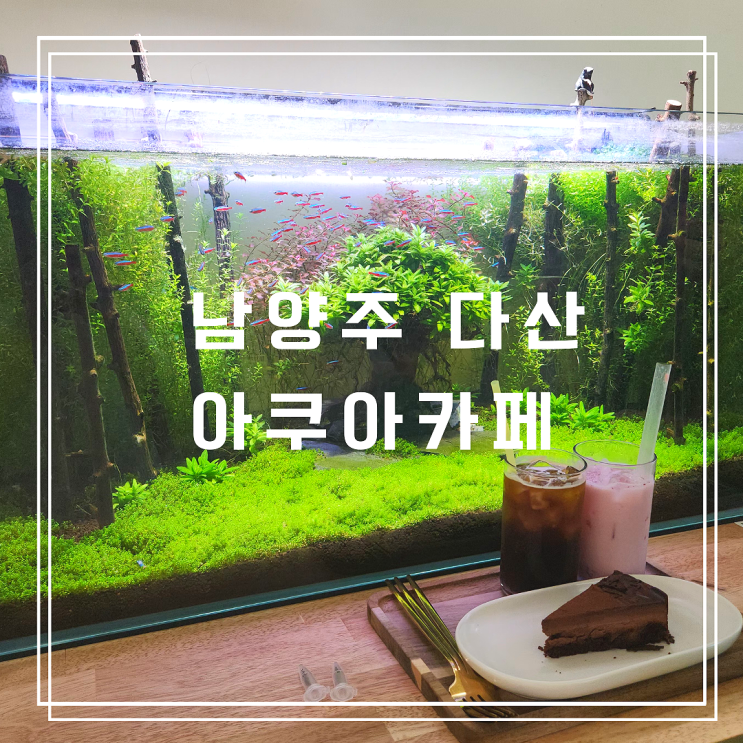  남양주 다산 아이랑 이색 카페 데이트 가능한 아쿠아카페