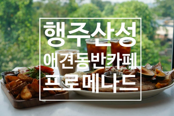  덕양구 대형카페 애견동반가능 뷰맛집 프로메나드