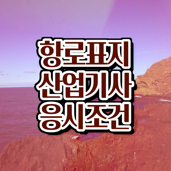  항로표지산업기사 시험응시조건 집에서 온라인으로 단기간에 완료한 과정