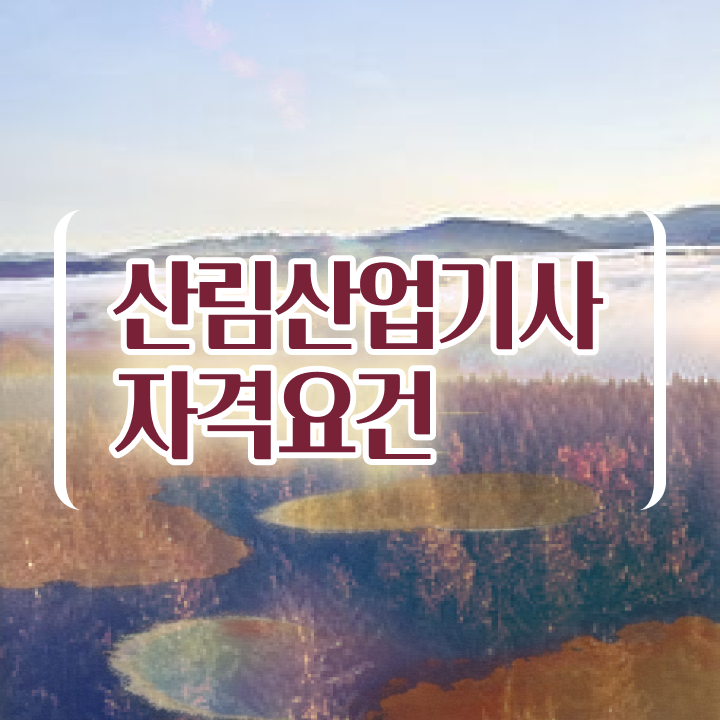  산림산업기사과목 산림산업기사 시험자격 인강만 듣고 4개월 만에 완료한 과정