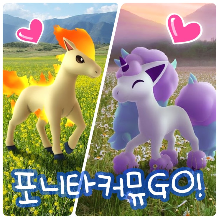  포켓몬고 커뮤니티데이 9월 무려 가라르 포니타 이로치!?