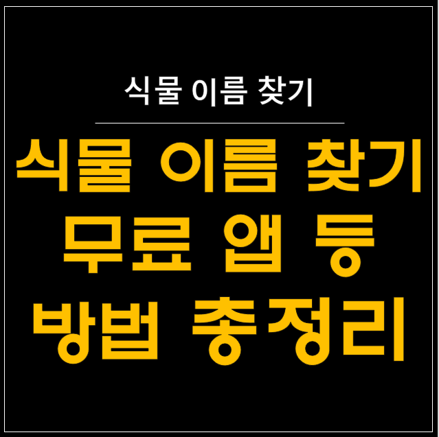  식물 이름 찾기의 모든 것 : 무료 어플, 사진으로 찾는 법 등 