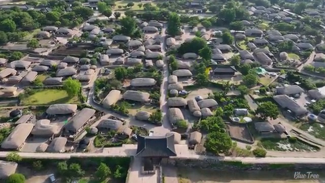  수산물 품질관리사 자격증 , 활용 방법과 전망