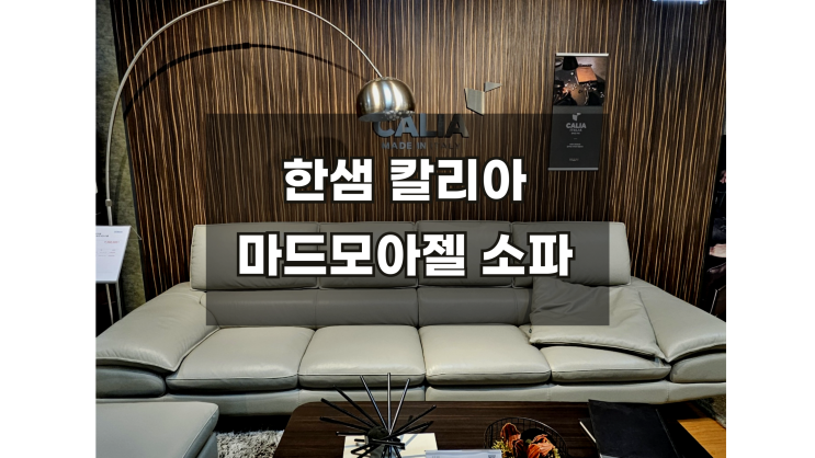  도무스 한샘마드모아젤 칼리아소파 이벤트 떴습니다
