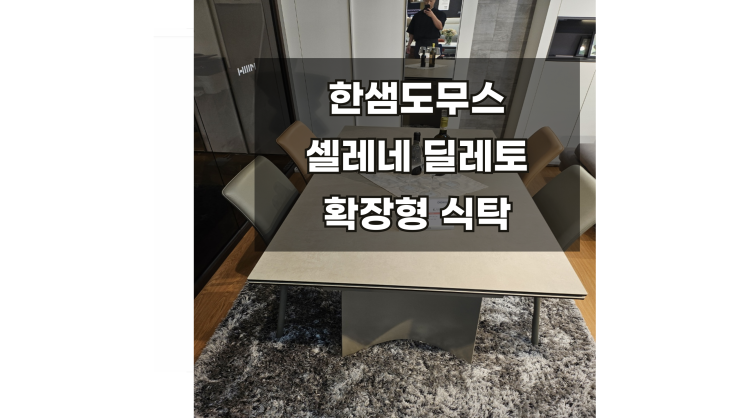  도무스 딜레토셀레네 확장형식탁 할인받고 구매하기