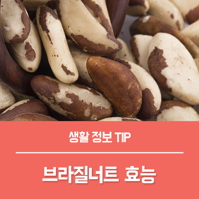  브라질너트 효능 4가지, 브라질너트 권장량 칼로리 부작용 총정리!