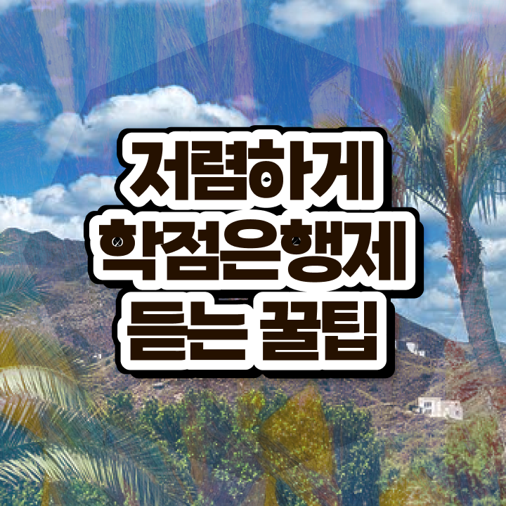 학점은행제 단점 , 학은제 멘토 가 도와줘서 희망하던 대학에 합격했습니다.