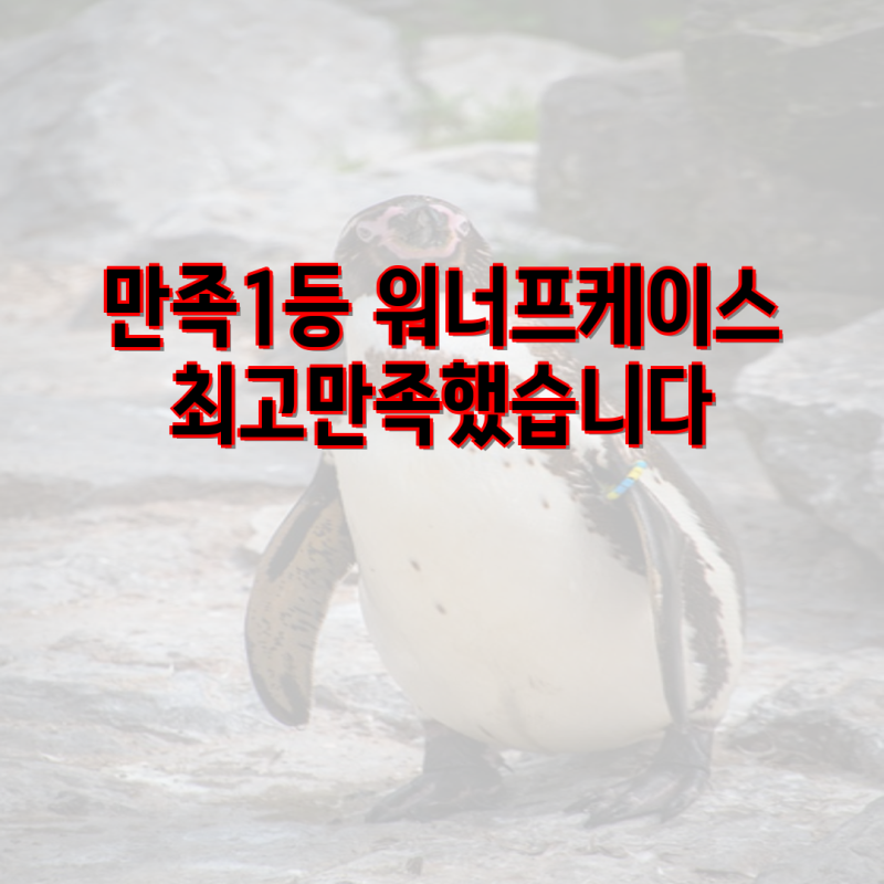 만족 1등 워너프 케이스! 축구 음바페 디자인의 갤럭시 전기종 케이스 총정리 | 갤럭시 A시리....