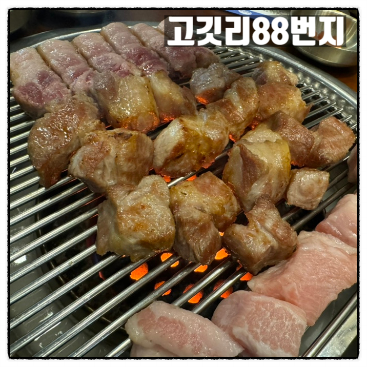 괴정동고기집 고깃리88번지 대전괴정점 고깃리모둠 벌집껍데기 맛 리뷰 괴정동고기집 고깃리88번지 대전괴정점 고깃리모둠 벌집껍데기 맛 리뷰