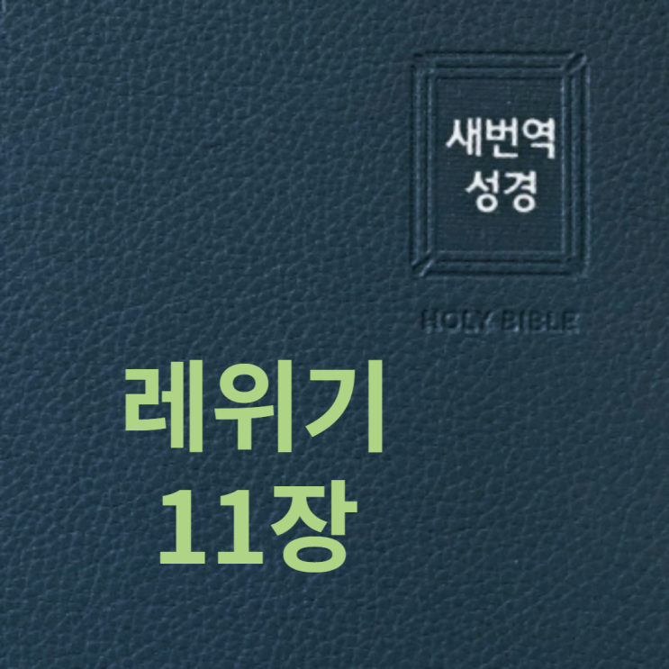 레위기 11장 레위기 11장