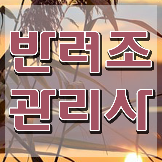  코뉴어 앵무새 분양 , 반려조관리사 자격증 온라인 교육으로 합격정보 완벽 정리