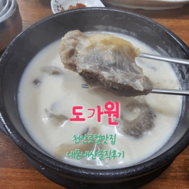  도가원 천안로컬맛집 내돈내산솔직후기