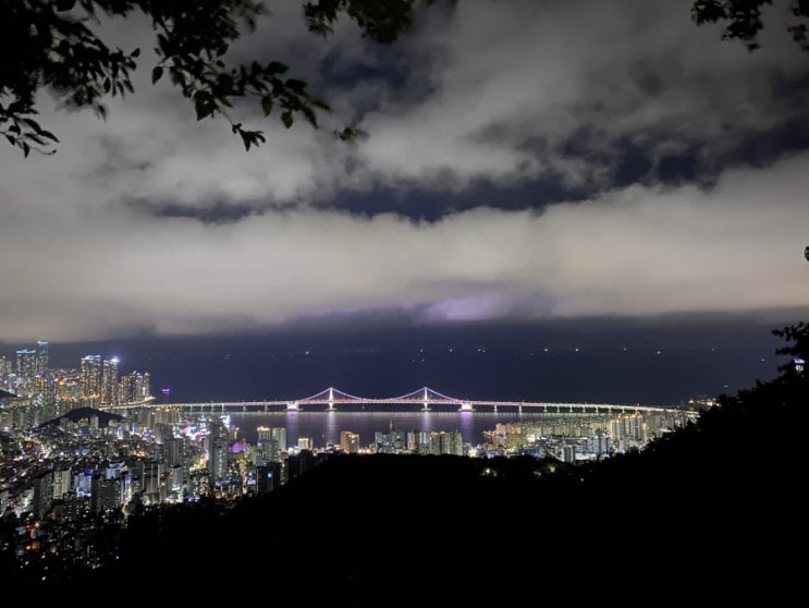  부산 사는 맛집 블로거의 체험단 이야기 :: 리뷰노트 평점 레뷰 등급 슈퍼멤버스 순위 블덱스 지수 공개