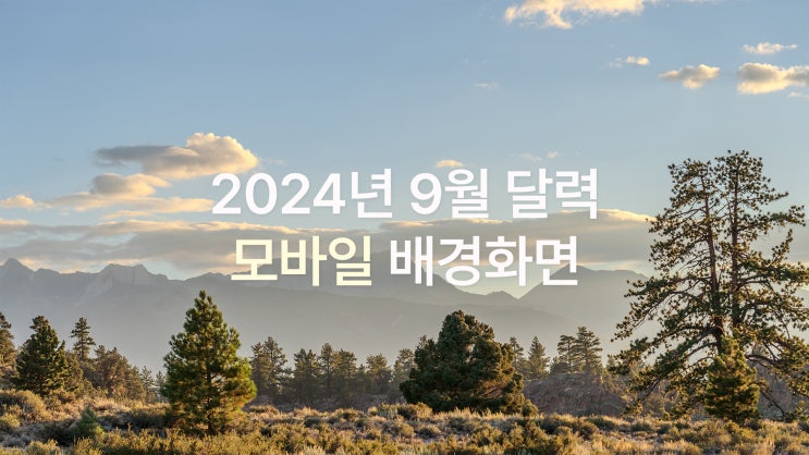  2024년 9월 달력 아이폰 15 pro max 스마트폰 차분한 가을 감성 모바일 배경화면 7종