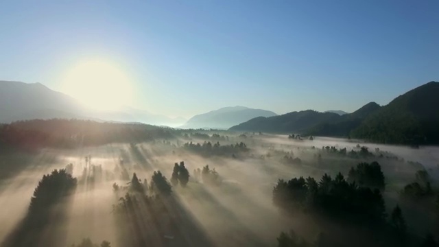  웨딩플래너 사기 , 웨딩플래너 예산에 맞는 곳 찾아보세요 , 웨딩박람회에서 결혼준비 계획적으로 정리하는 방법
