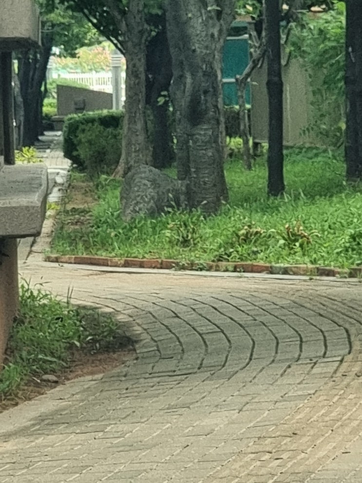  일 없는 날 미루었던 사무실 정리