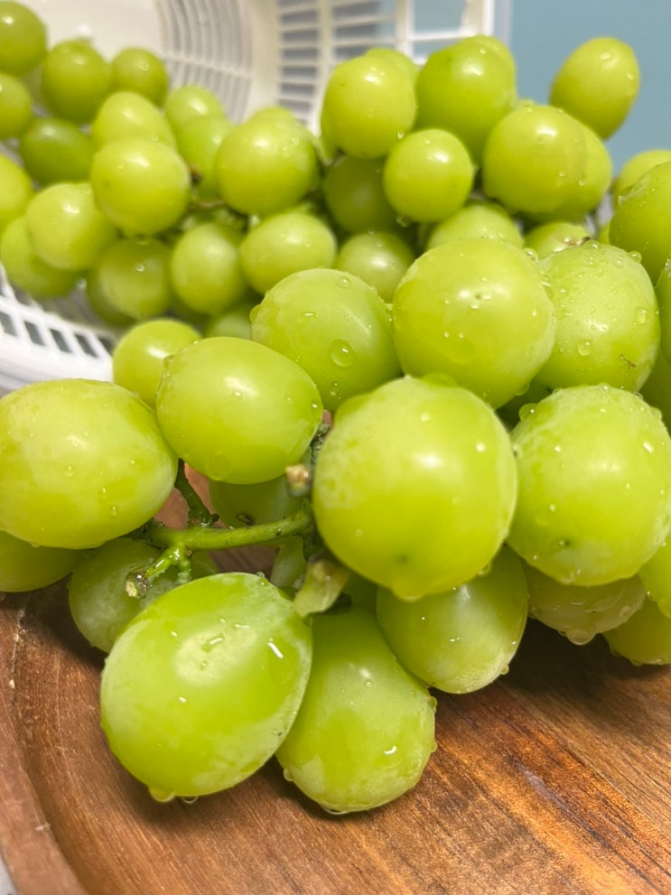  맛있는 국산 샤인머스캣 입안 가득 퍼지는 달콤함, 봉길상회 김천 샤인머스켓 후기