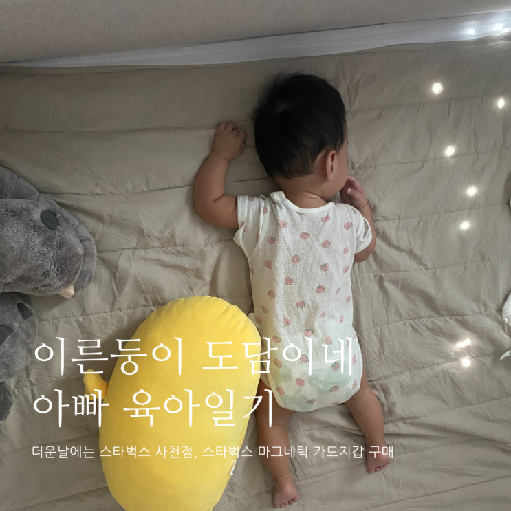 더운날에는 스타벅스 사천점 스타벅스 마그네틱 카드지갑 구매 D+301 더운날에는 스타벅스 사천점 스타벅스 마그네틱 카드지갑 구매 D+301