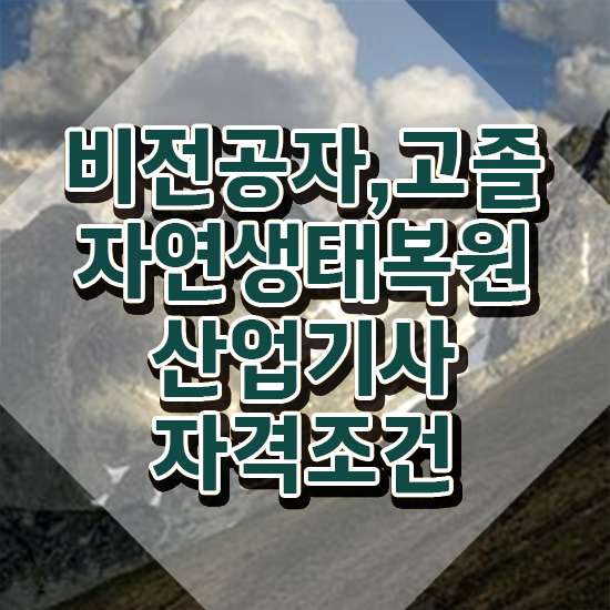  자연생태복원산업기사 실기 합격률 자연생태복원산업기사 응시조건 집에서 온라인으로 15주 동안 완료한 전략