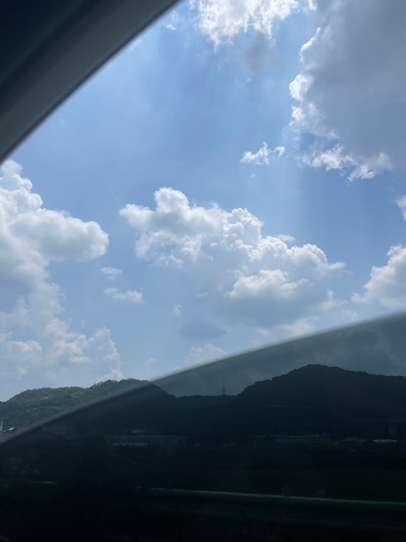 사진 5