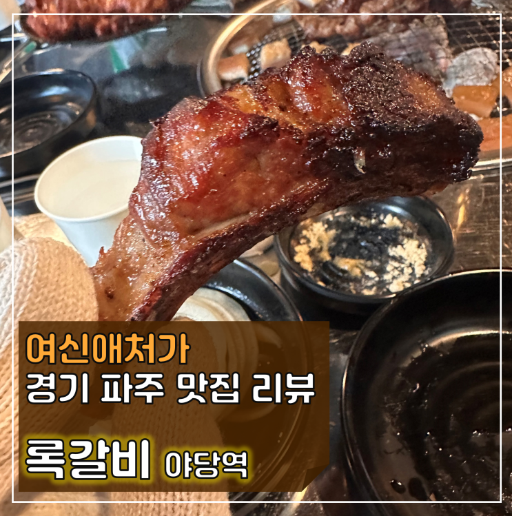 쪽갈비가 땡길 때, 파주 야당 고기 맛집,  록갈비