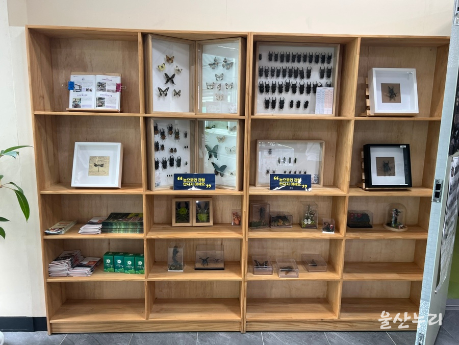 숲속의작은친구들 울산곤충생태전시관 사진 5