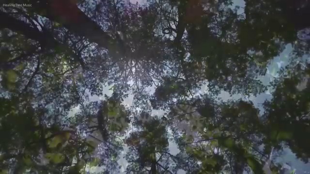  경기도 교촌치킨 창업 오븐마루 치킨 프랜차이즈 오븐구이 소자본 창업 11년 노하우 창업의 꿈을 이루세요