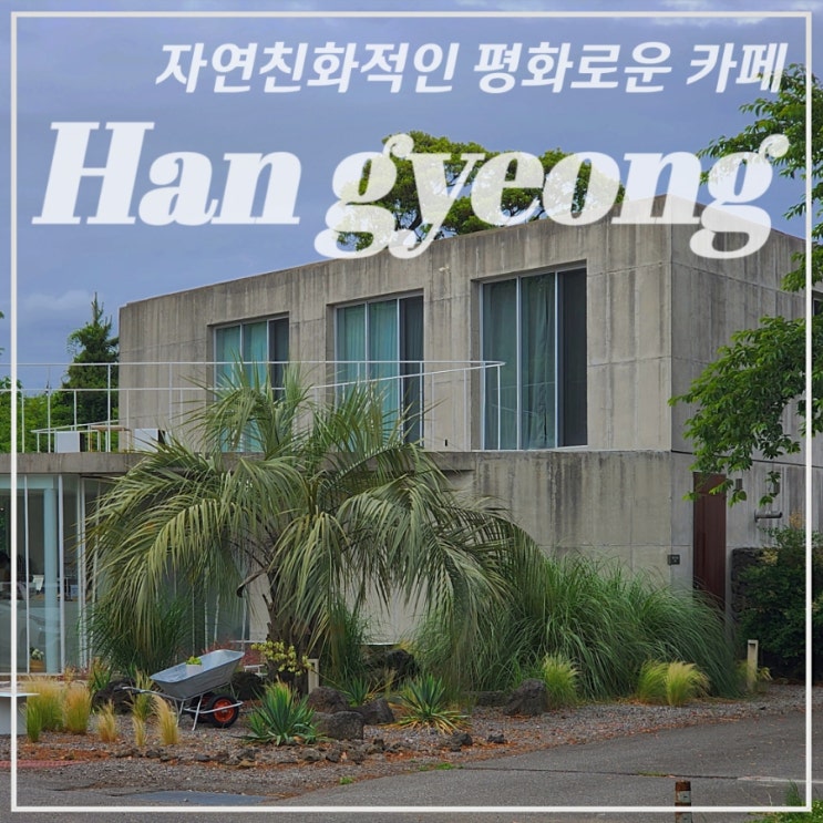  [서쪽/한경/카페] 혼자와도 좋은 자연친화적인 평화로운 분위기 •우호적무관심• 내돈내산 솔직 방문후기