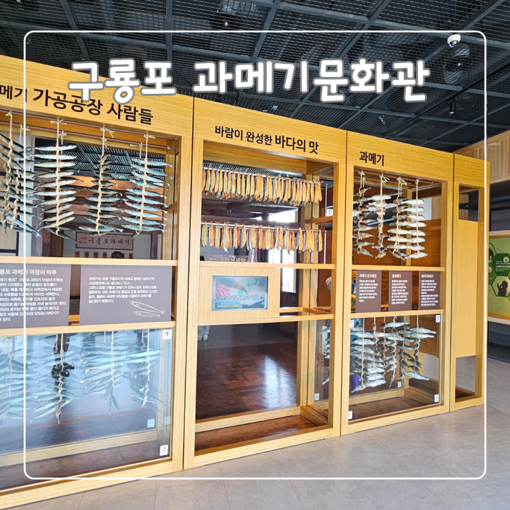  포항 구룡포과메기문화관 후기