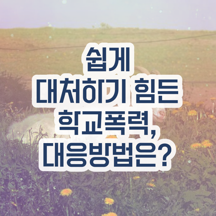  , 아동폭력예방상담사 자격증 단기간에 취득한 과정 정보 모두 드려요