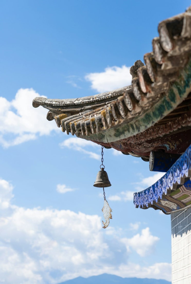  처서 (處暑) 지났는데? 모기 입 안 삐뚤어졌는데?
