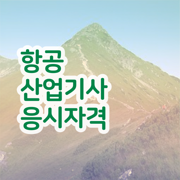  항공산업기사 전망 항공산업기사 시험응시자격 온라인으로 5개월 만에 성공한 팁