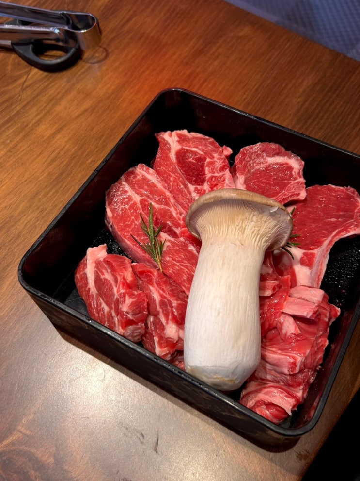  일산 애니골 양갈비 맛집 양고기 양스 일산점 후기