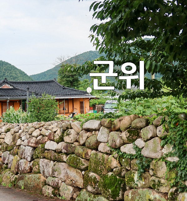 사진 8