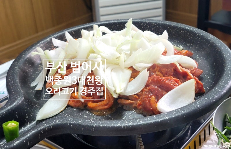 사진 2