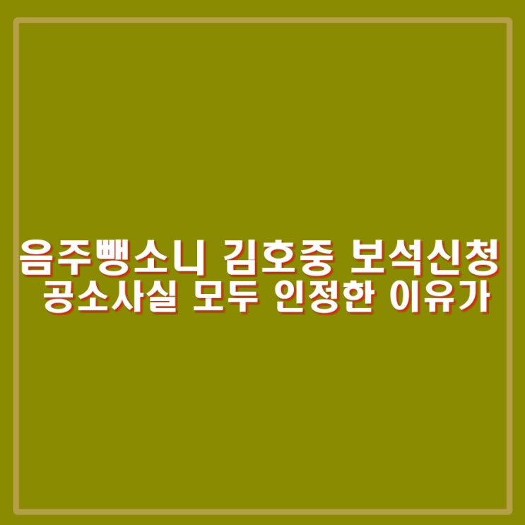 음주<b>뺑소니 김호중 보석</b>신청. 검찰 공소사실 모두 인정한... 