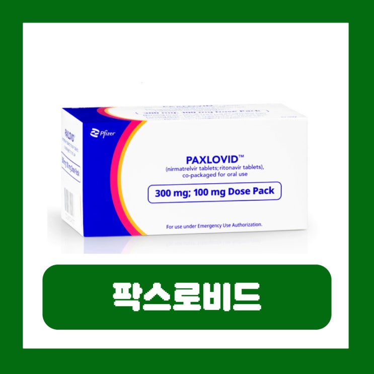  팍스로비드 처방 기준 대상 나이 복용 부작용 코로나치료제 가격