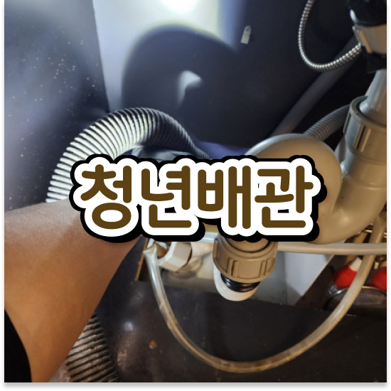  동대문구 장안1동 화장실휴지막힘 스마트한 관리법