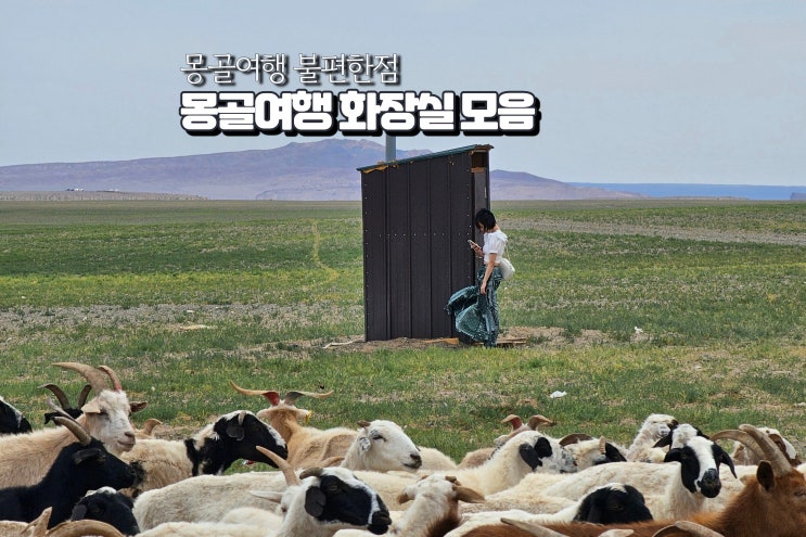  몽골 여행 비추 사유 여행지 화장실 사용기