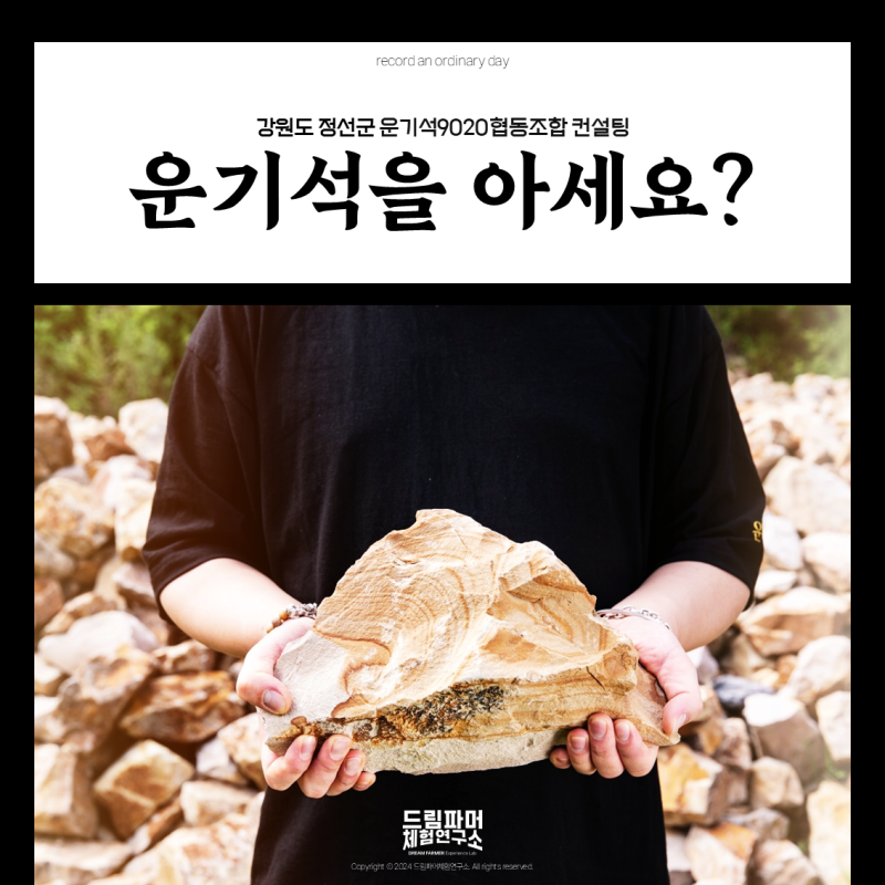 사진 5